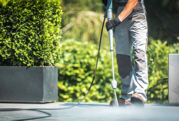 Best Animal Enclosure Cleaning  in Akron, NY