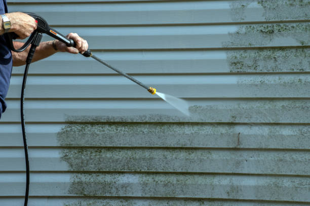 Best Building Exterior Washing  in Akron, NY