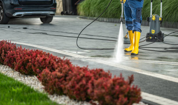 Best Gutter Cleaning  in Akron, NY